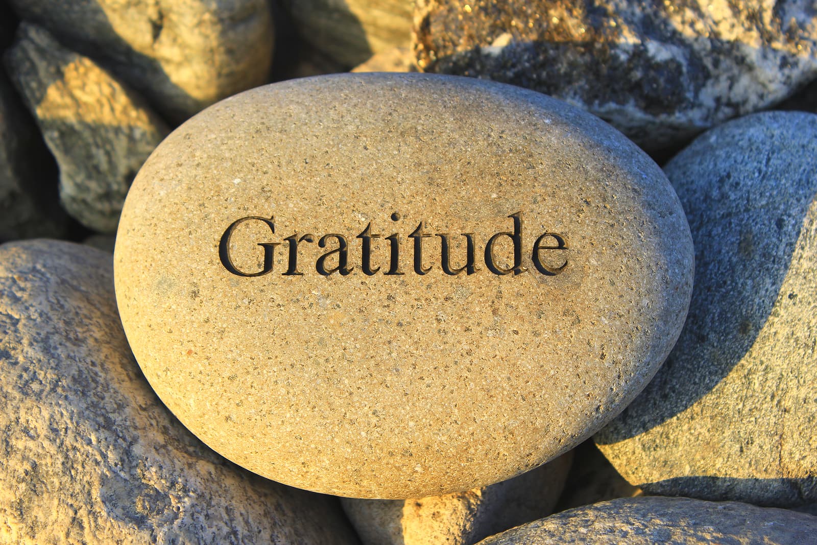 A practice of gratitude allows us to remember all that we are, all that we have and all that we can do.